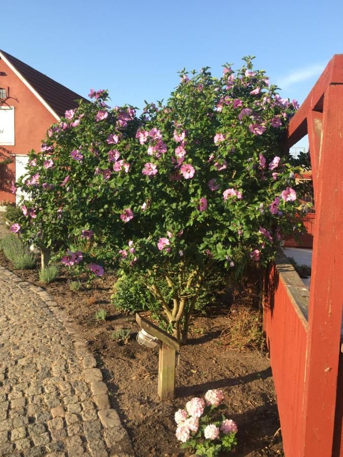 Bed and Breakfast Hos Mette Børkop Exteriér fotografie